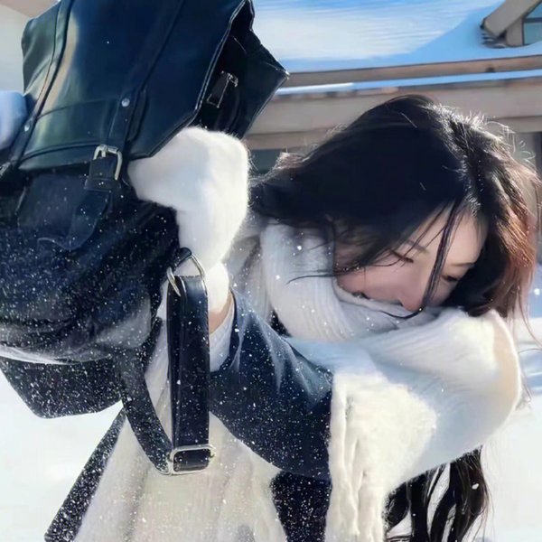 霜雪极地